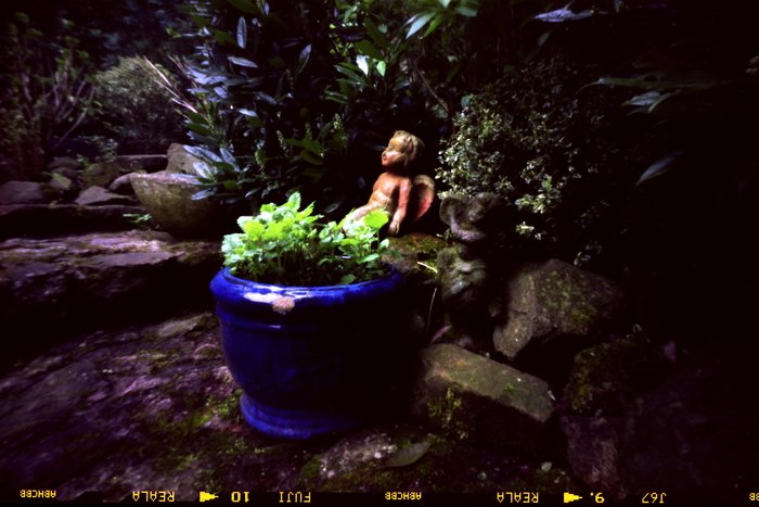 pinhole photograph