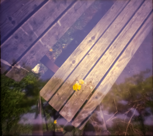 pinhole photograph