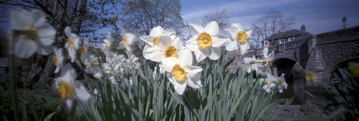 pinhole photograph