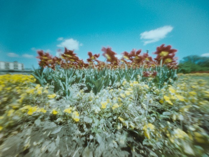 pinhole photograph