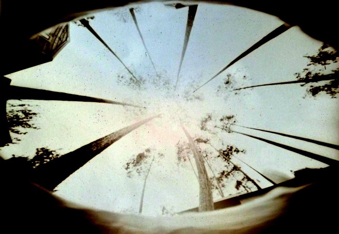 pinhole photograph