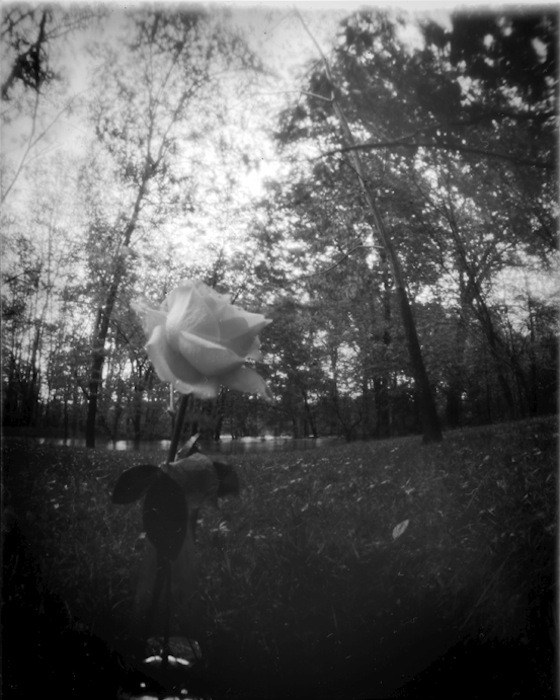 pinhole photograph