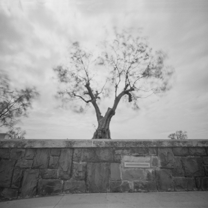 pinhole photograph