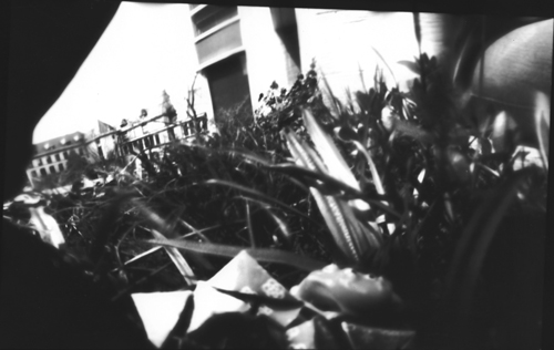 pinhole photograph