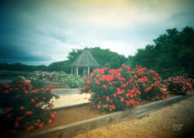 pinhole photograph