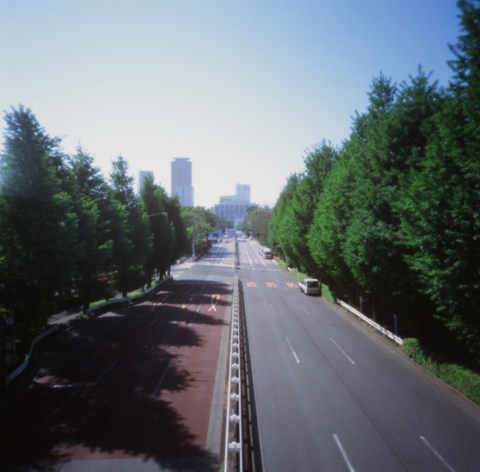 pinhole photograph