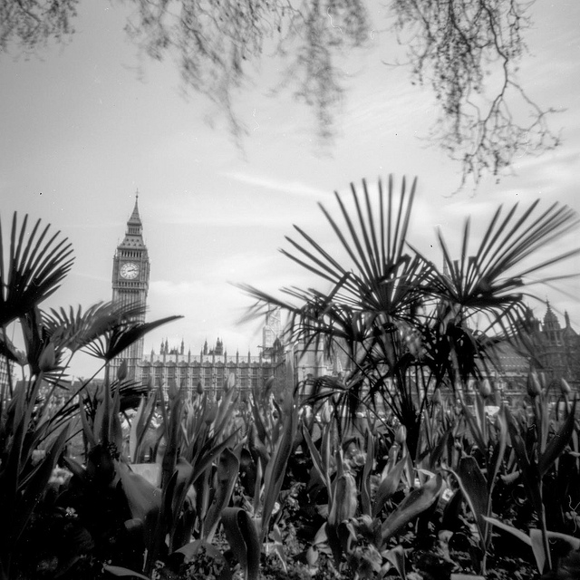 pinhole photograph