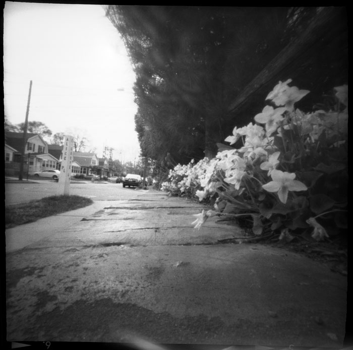 pinhole photograph