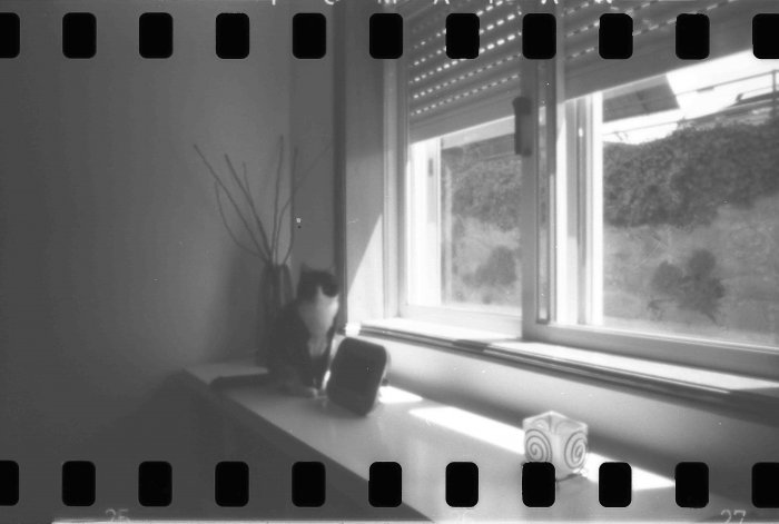 pinhole photograph