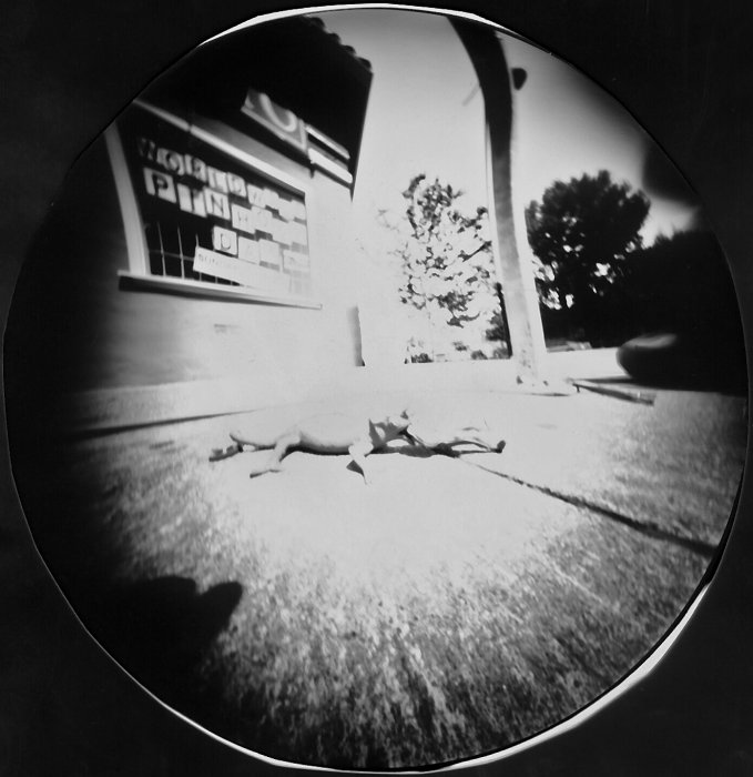 pinhole photograph