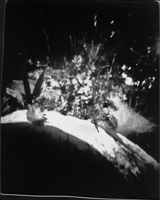 pinhole photograph