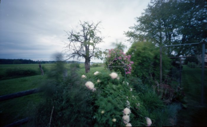 pinhole photograph