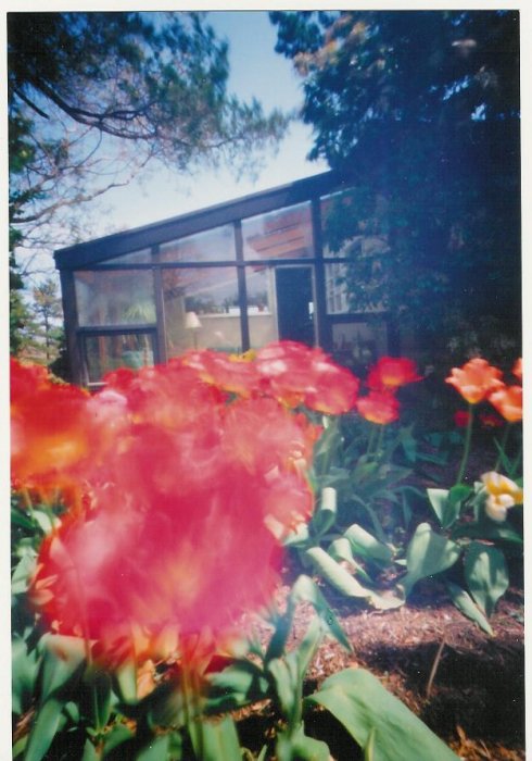 pinhole photograph