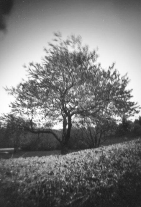 pinhole photograph