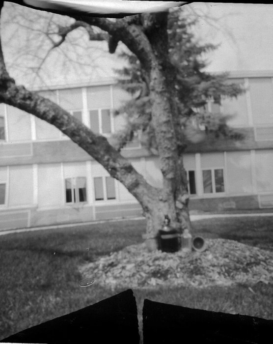 pinhole photograph