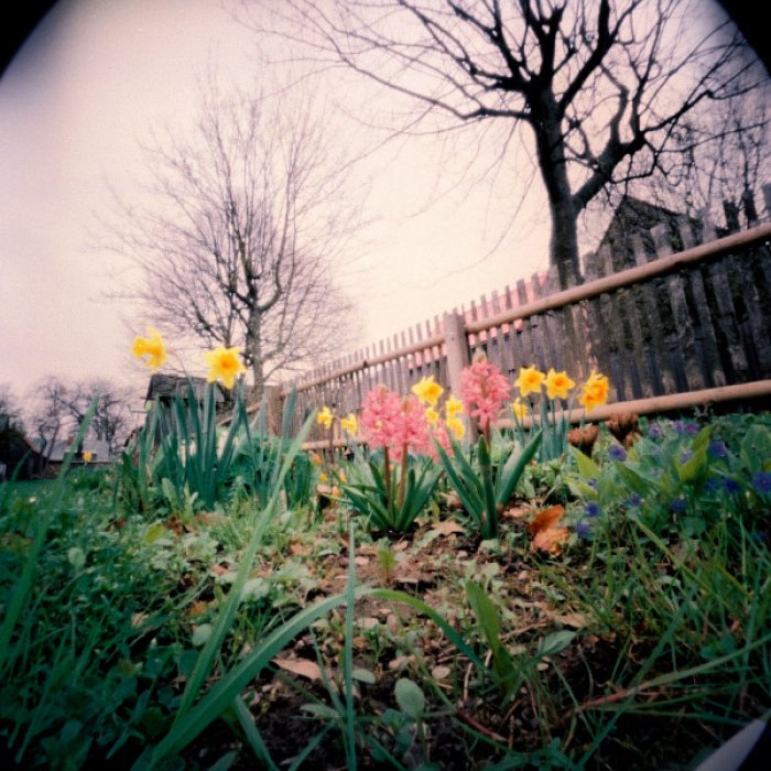 pinhole photograph