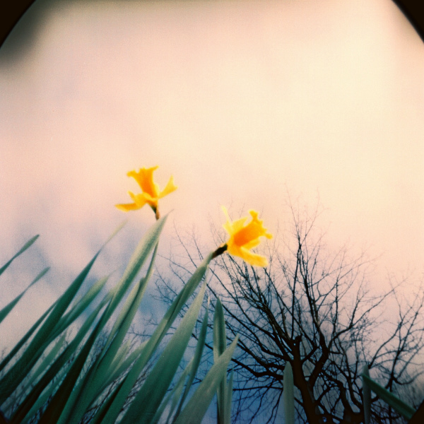 pinhole photograph