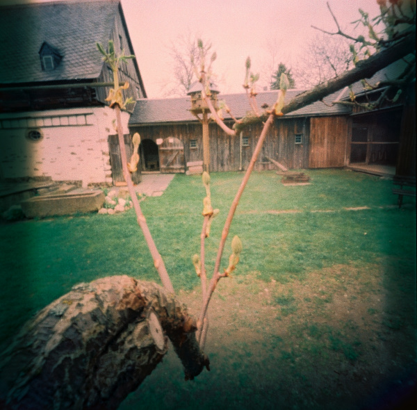 pinhole photograph