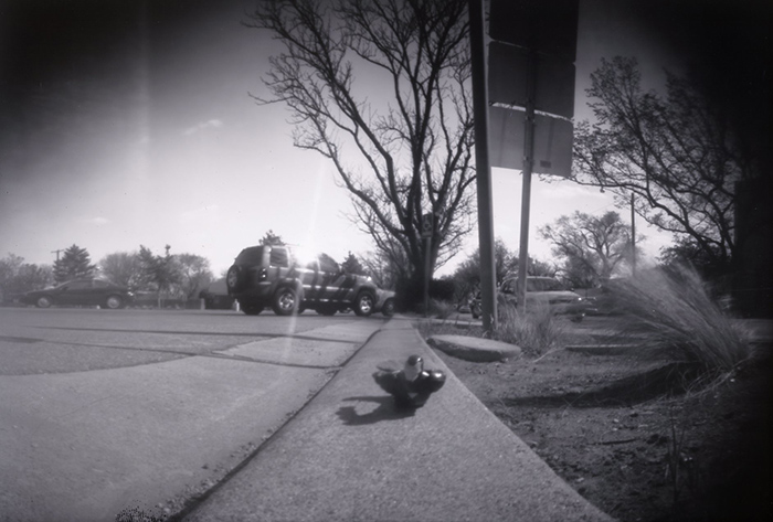 pinhole photograph