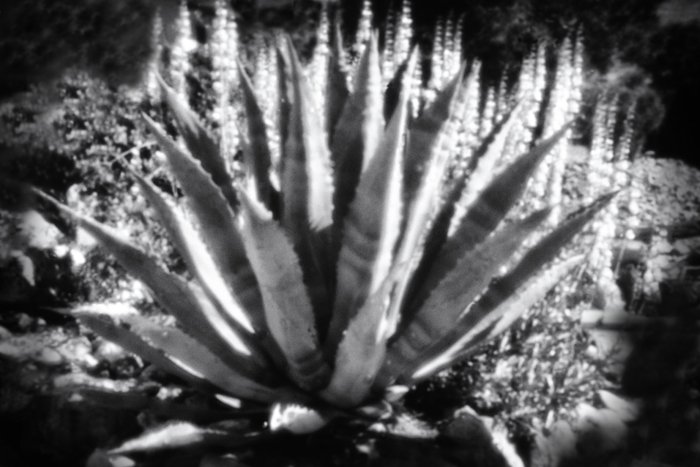 pinhole photograph