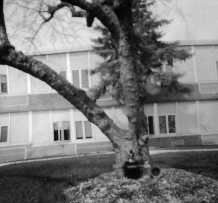 pinhole photograph