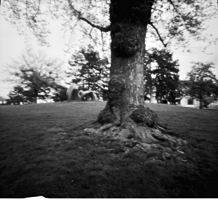 pinhole photograph