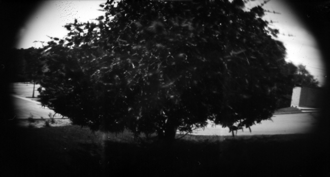 pinhole photograph