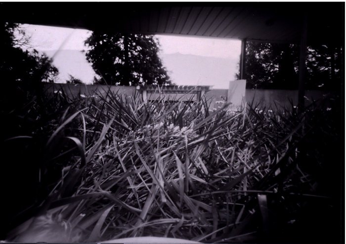 pinhole photograph