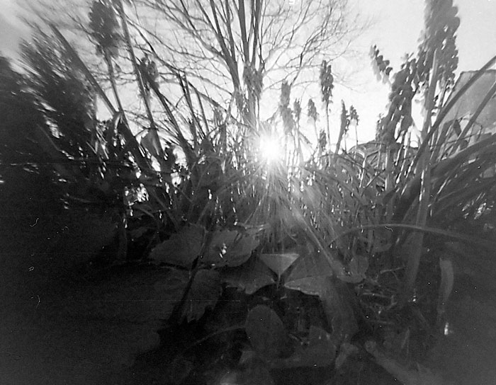 pinhole photograph