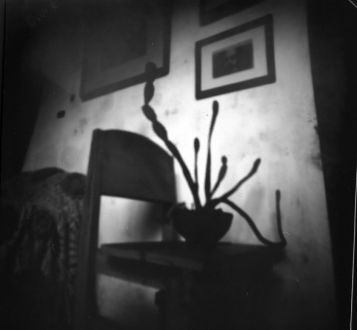pinhole photograph
