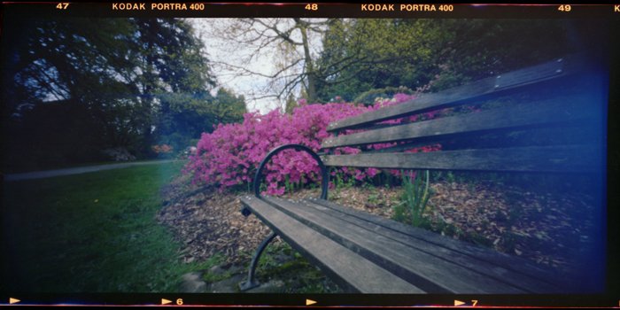 pinhole photograph