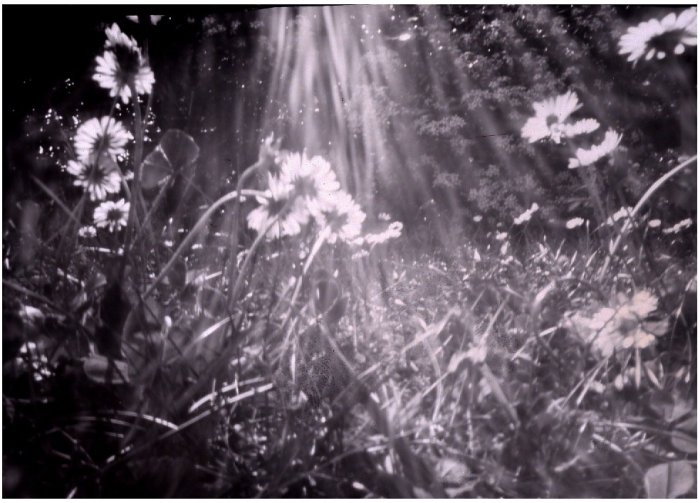 pinhole photograph