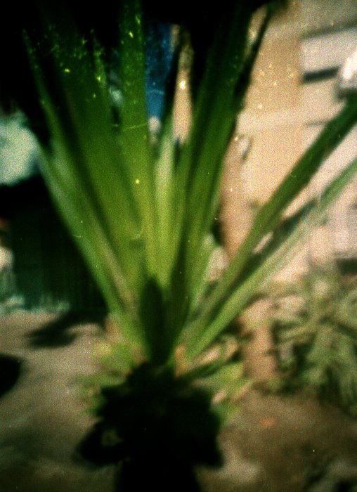 pinhole photograph