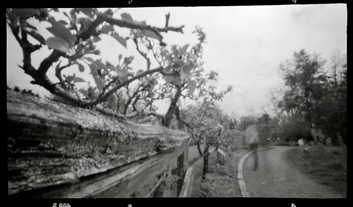 pinhole photograph