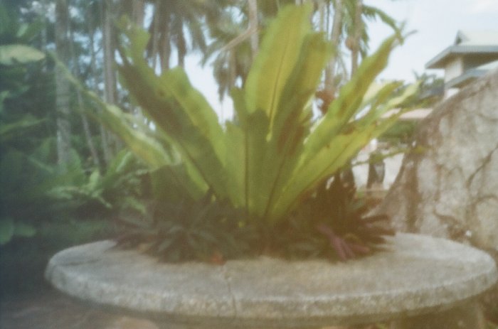 pinhole photograph