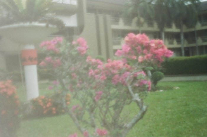 pinhole photograph