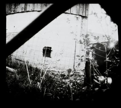 pinhole photograph