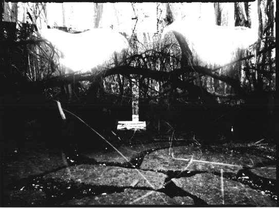 pinhole photograph