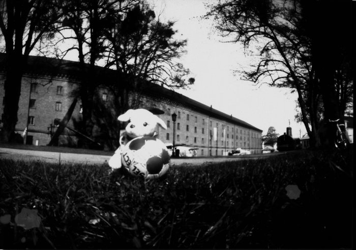 pinhole photograph