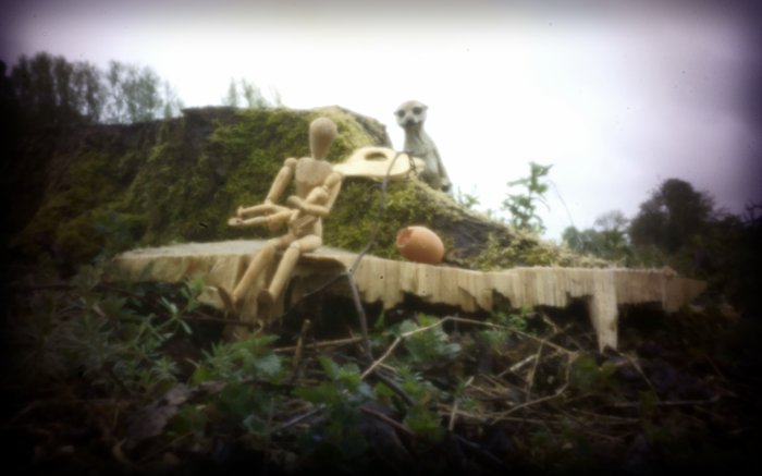 pinhole photograph