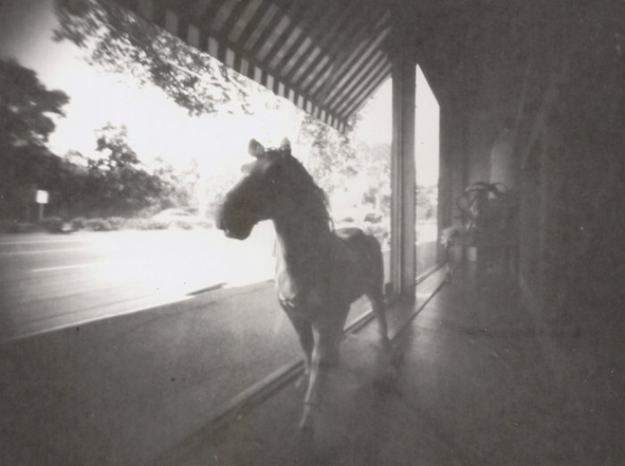 pinhole photograph