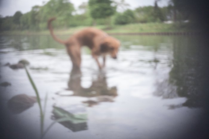 pinhole photograph