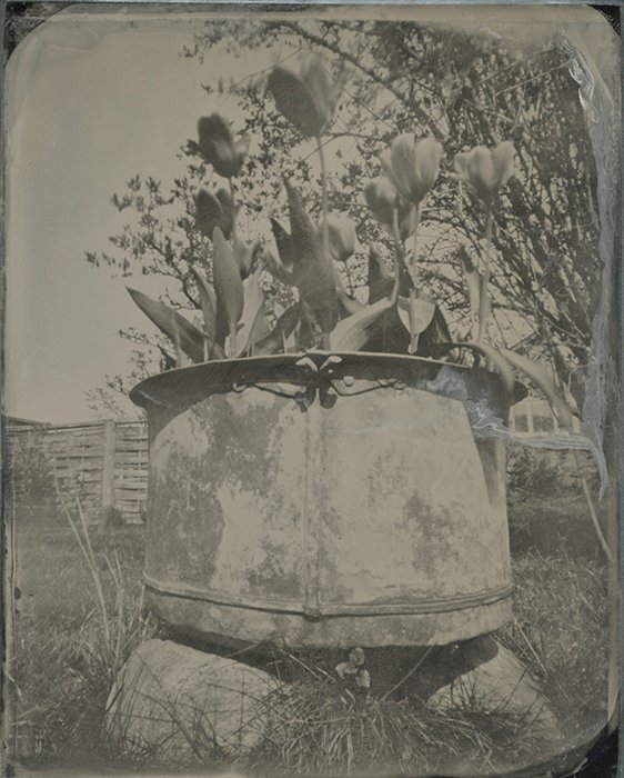 pinhole photograph