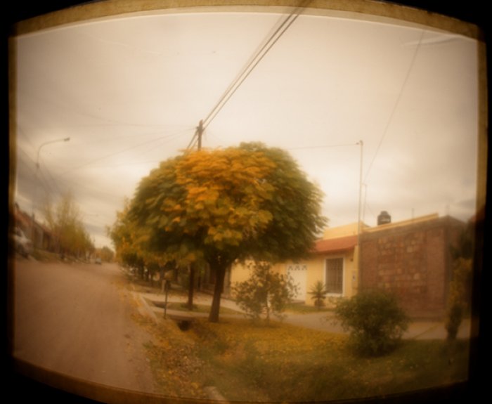 pinhole photograph