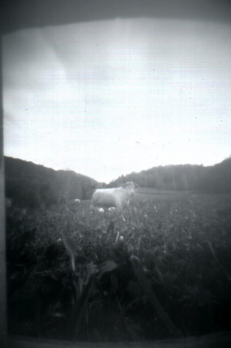 pinhole photograph