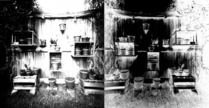 pinhole photograph