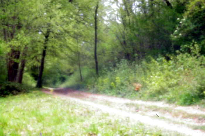 pinhole photograph