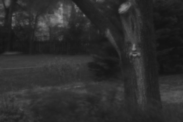 pinhole photograph