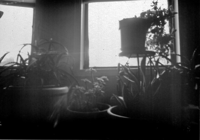 pinhole photograph