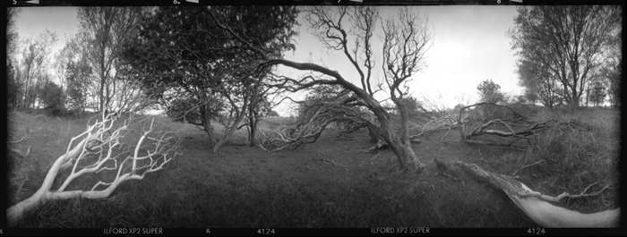 pinhole photograph